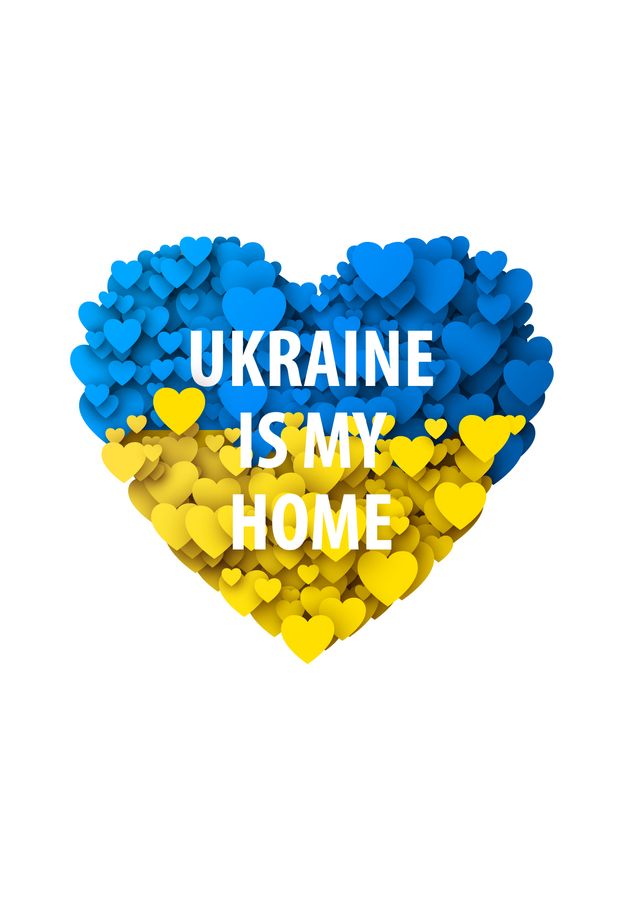 Футболка женская белая с принтом "Украина мой дом" 201002PW_Ukraine is Home_2XL фото