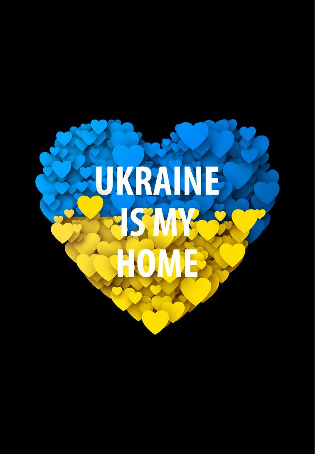 Футболка жіноча чорна з принтом "Україна мій дім" 160404PB_Ukraine is Home фото