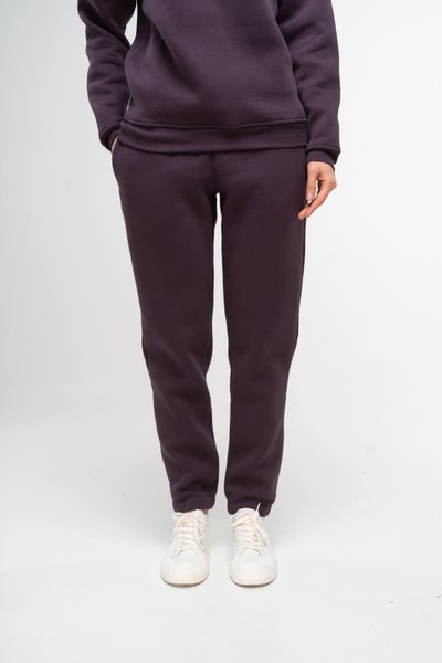 Штани-джоггери жіночі теплі темно-фіолетового кольору 230412 фото