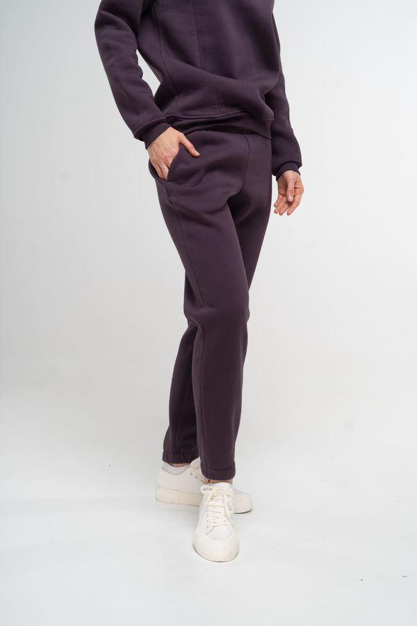 Штани-джоггери жіночі теплі темно-фіолетового кольору 230412 фото