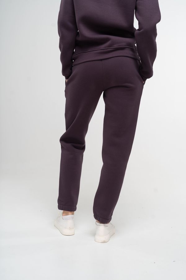 Штаны-джоггеры женские теплые темно-фиолетового цвета 230412 фото