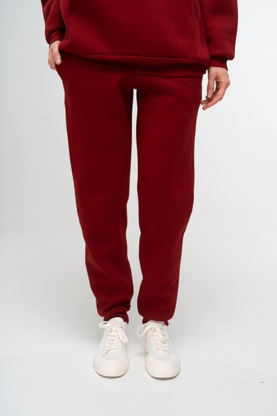 Штани жіночі утеплені бордового кольору 210521 фото