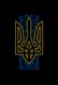 Футболка мужская черная с принтом "Орнамент с гербом" 170201PB_Ornament with emblem_3XL фото 2
