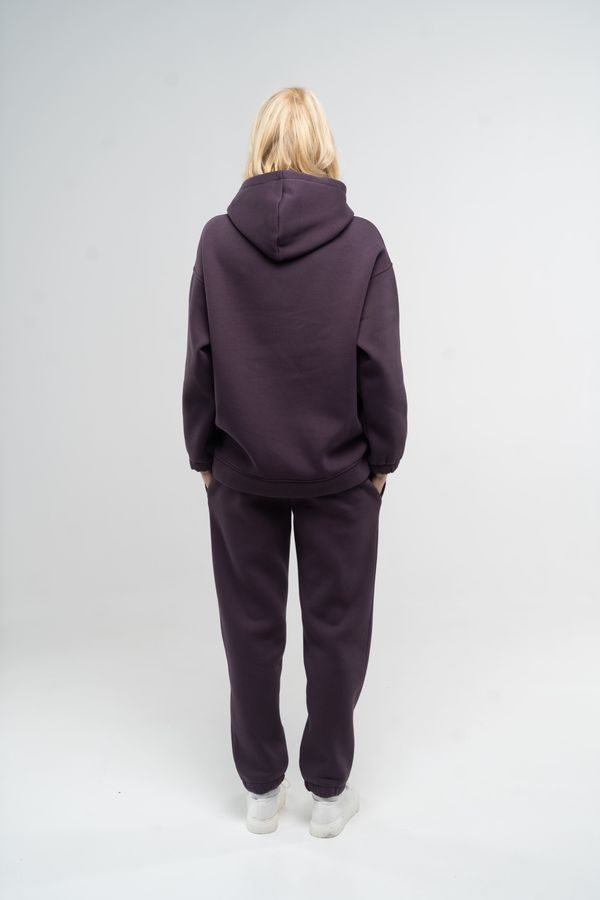 Костюм спортивний жіночий утеплений худі та штани-джоггери темно-фіолетового кольору 230406 фото