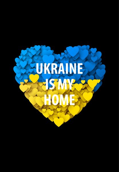 Футболка для дівчат чорна з принтом "Україна мій дім" 180328GPB_Ukraine is Home_158 фото