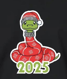 Футболка жіноча чорна з принтом "Змія 2025" 160404PB_snake 2025 фото