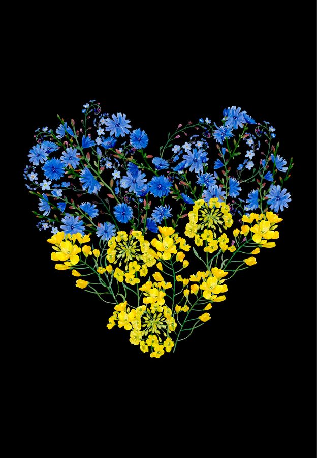 Футболка жіноча чорна з принтом "Серце з квітів" 160404PB_Heart of flowers_XL фото