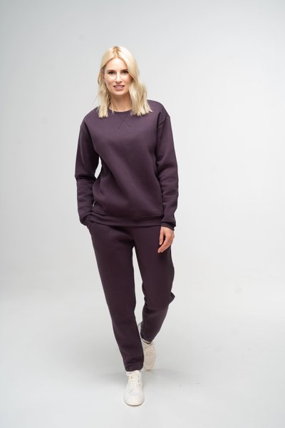 Костюм жіночий утеплений темно-фіолетовий світшот та штани 111007_violet фото