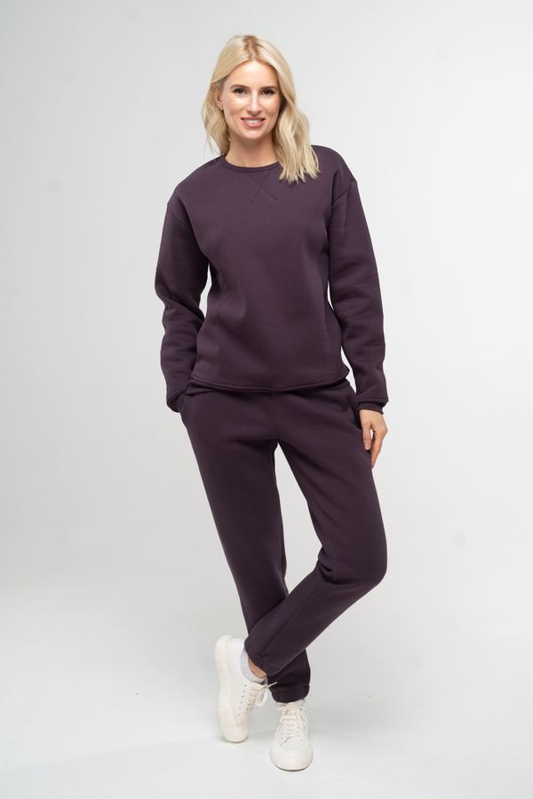 Костюм жіночий утеплений темно-фіолетовий світшот та штани 111007_violet фото